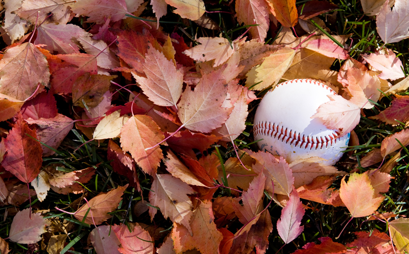 FALL SCHEDULE (MUSTANG - PONY)